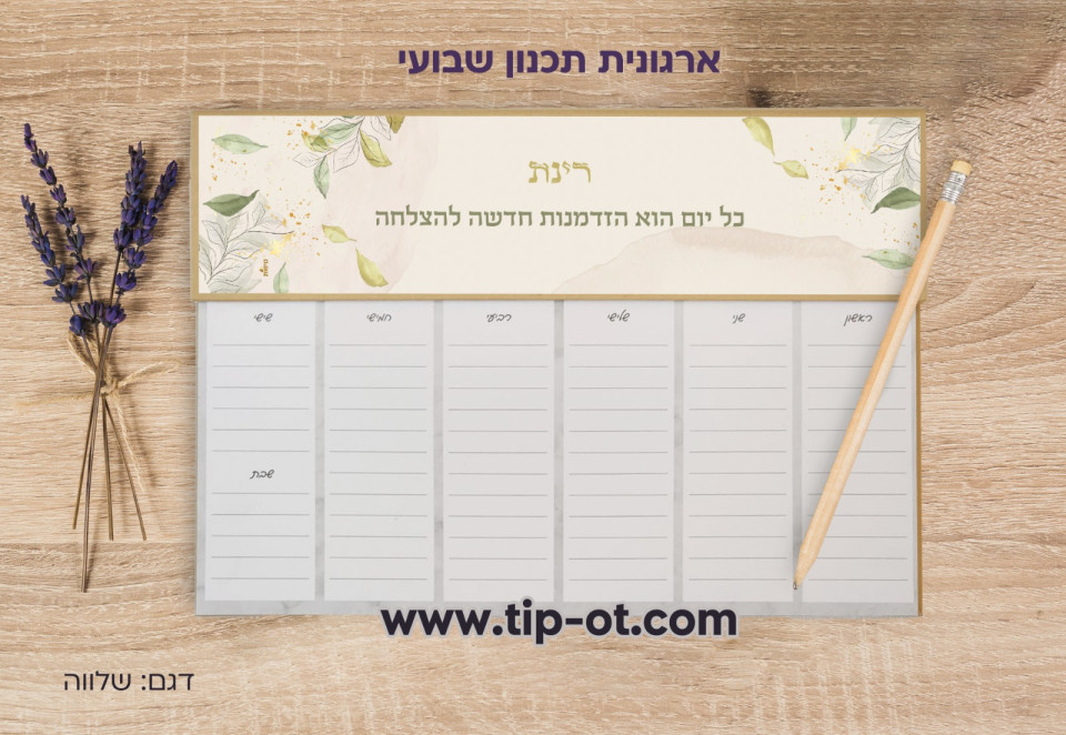 ארגונית שבועית- שלווה